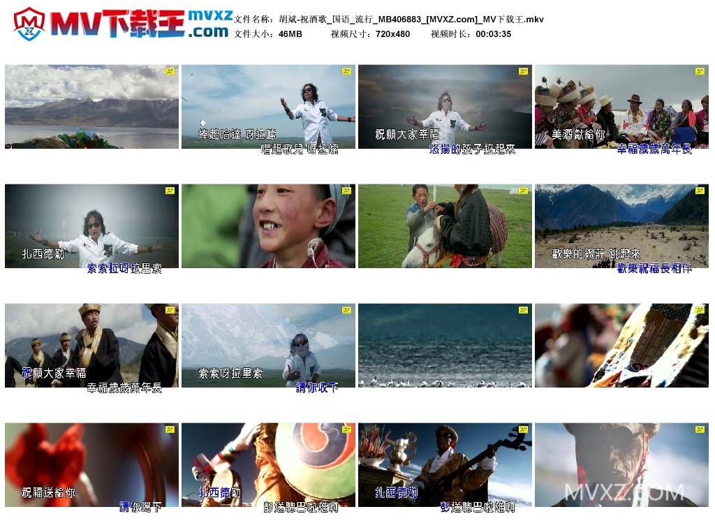 胡斌-祝酒歌_国语_流行_MB406883